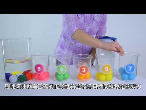 精油科學 - 氣相色譜／質譜分析 (GC/MS) (2017.05.24)