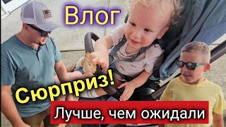 видео: Исполнили мечту/Это было незабываемо/Семейный ужин/Жизнь многодетной семьи в США/Лиса в Америке/Влог картинка: Исполнили мечту/Это было незабываемо/Семейный ужин/Жизнь многодетной семьи в США/Лиса в Америке/Влог