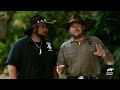 The Craziest Back Yard Gators of SEASON 3! | Gator Boys | Animal Planet