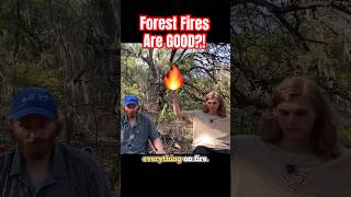 Forest Fires Are Good + Actually ESSENTIAL For Forest Environments! #climate #nature
