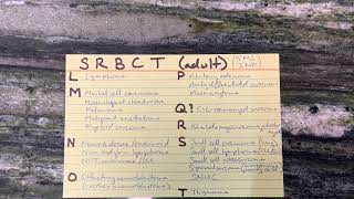 Small round blue cell tumors in adults - differential diagnosis - LMNOPQRST screenshot 1