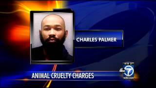Animal Abuse Sentencing