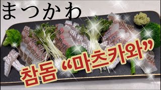집에서 즐기는 참돔 “마스까와”