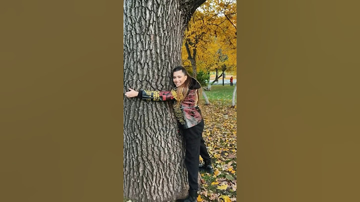 Что скажете? Бред или нет? 😅 #анетсай