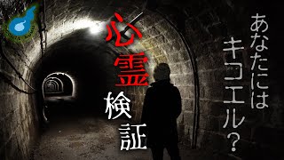 心霊現象をみんなのコメントを元に検証。謎の声が入っている座敷わらし旅館動画。。。