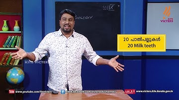 KITE VICTERS STD 09 Biology Class 6 (First Bell-ഫസ്റ്റ് ബെല്‍)