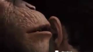 Pontigile😅😅😅