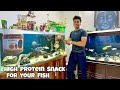 *Healthy Dried Mealworms for Fish* Promeals Dried Mealworms