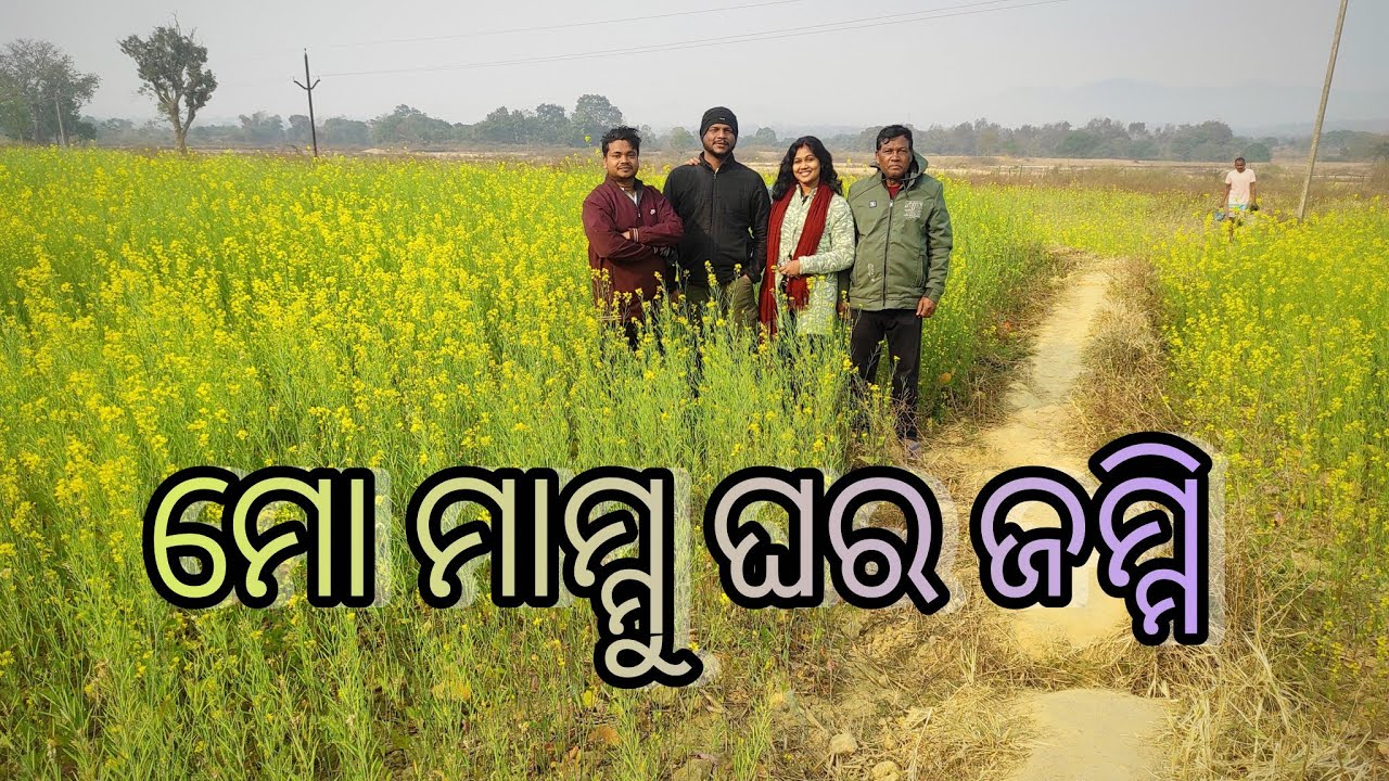 ଆସନ୍ତୁ ବୁଲିବାକୁ ଯିବା ମୋ ମାମ୍ମୁ ଘର ଜାମ୍ମି ଦେଖି🌾🌳🥀🌾 //Jharkhand //ଓଡ଼ିଆ ଝିଅ prettypriyarashmi 
