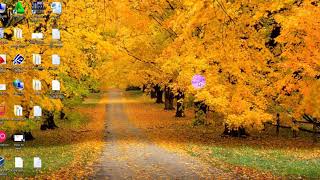 How to create local network and create connection bettwen sql server and c# or vb.net /Kurdish screenshot 5