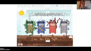 Matter and Energy in Ecosystems Lesson 1 Part 3