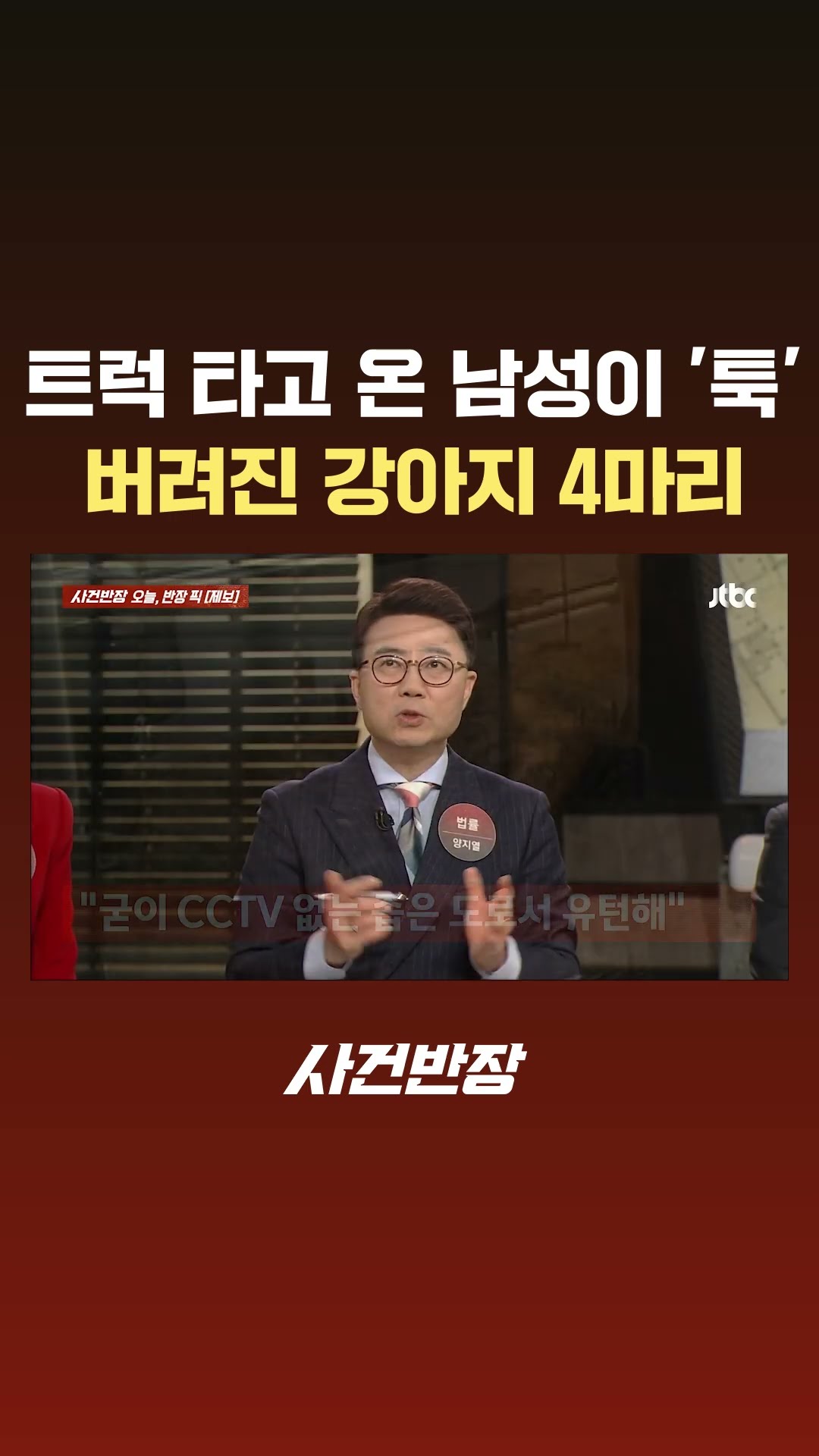트럭 타고 온 남성 툭 던지자 '강아지 4마리'를 공터에… #JTBC #Shorts