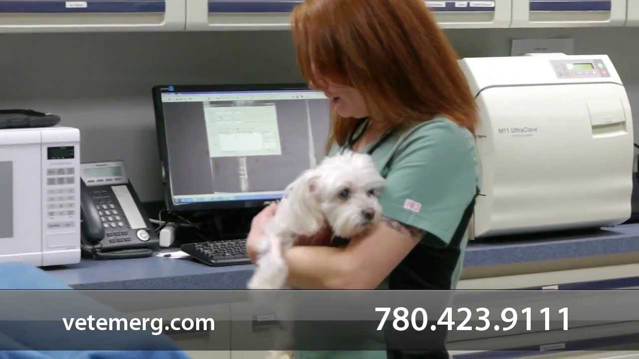 to VetEmerg North Edmonton Emergency Veterinary Hospital
