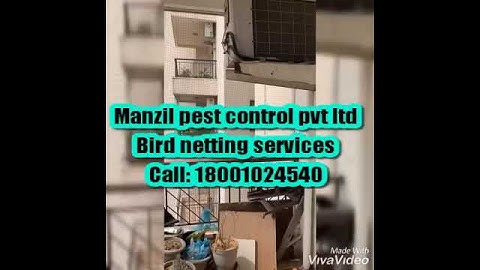 Manzil pest control pvt ltd (best bird netting services) call : 18001024540