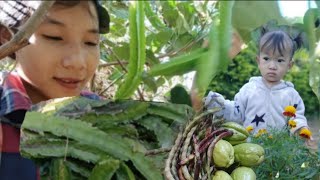 Collecting organic vegetables||Daily vlog||@benivloggs4067 