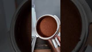 Meraki V3 Bottomless Espresso Shot
Meraki V3 Bottomless Espresso Shot Meraki V3 Bottomless Espresso Shot
