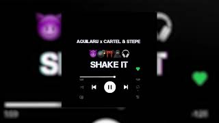 Aguilaru, Cartel & Stepe - Shake It | Official Audio 2021