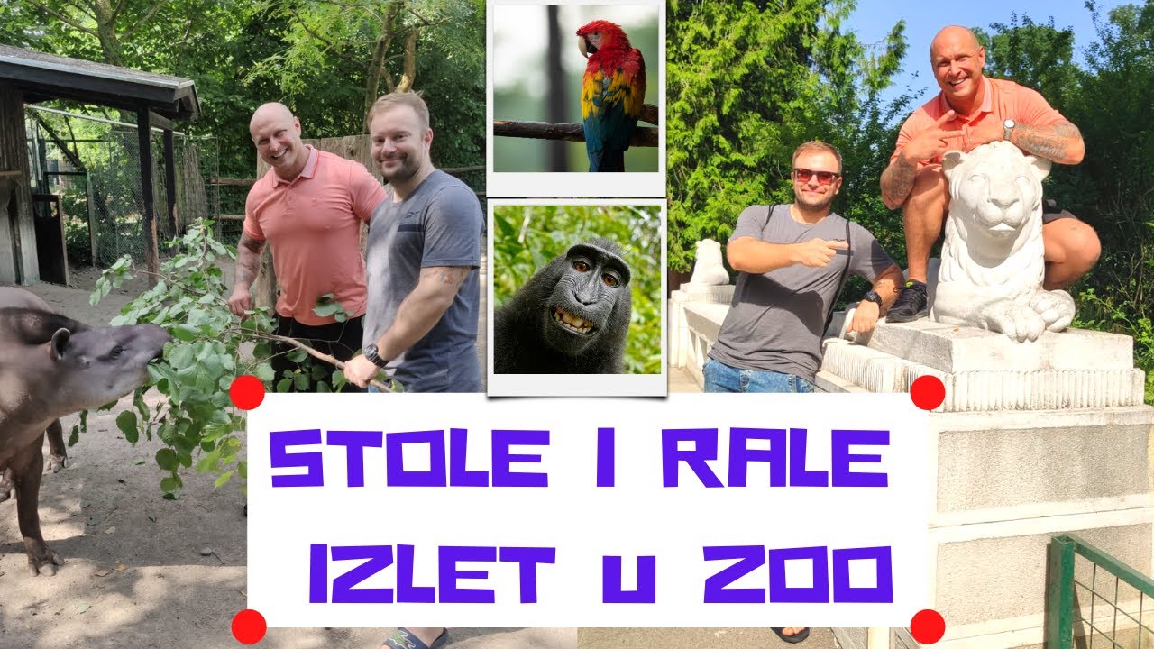 STOLE I RALE OTKRILI TAJNE ZOOLOŠKOG VRTA // 100KAST