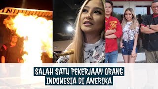 Tugas bahasa Inggris membuat nasi goreng