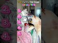 Cat vs Dog: The Most Adorable Battles EVER! 🐾😂 #Shorts