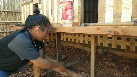 Make a chicken coop/ ua cooj qaib PART#2