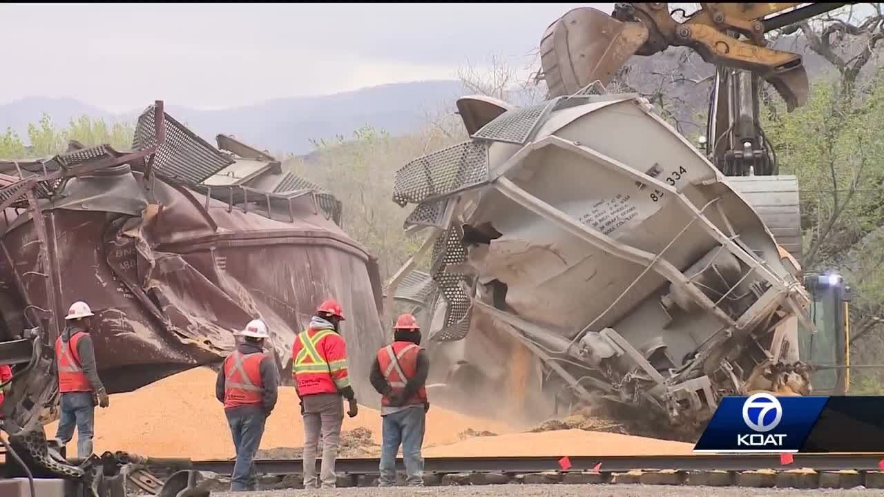 Crews clean up train derailment in Socorro County - YouTube