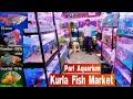 Pari fish Aquarium, Kurla Fish Market || Wholesale aquarium fish market in Mumbai