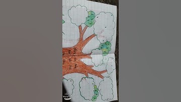 Sơ đồ tư duy hình cây