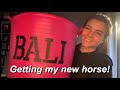 GETTING MY NEW HORSE - meeting Bali - HORSE VLOG