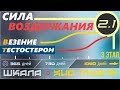 Сила воздержания 2.1 ➤ ТЕСТОСТЕРОН