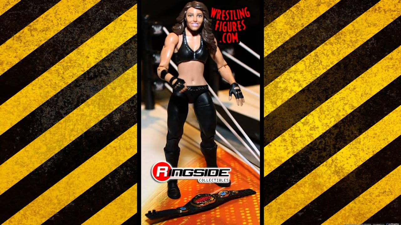 BurnoutInc: My thoughts on the WWE Figures shown at RingsideFest 2014