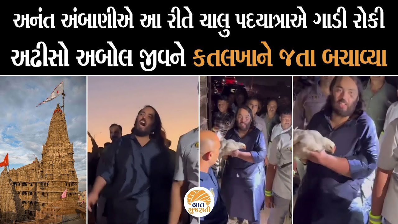 Dwarka Padyatra માં Anant Ambani એ અબોલ જીવને આ રીતે બચાવ્યા | Dwarka | Vaat Gujarati
