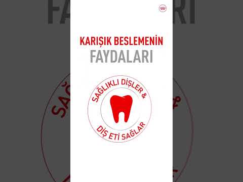 Kuru ve yaş mamanın dengesini keşfedin.