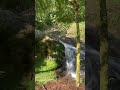 🌳🌊🍃☘️🍀