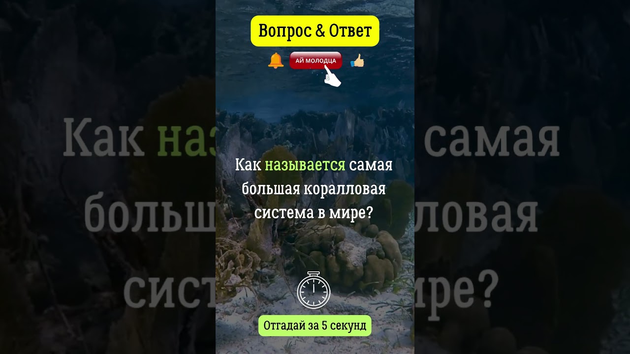 Как называется самая большая коралловая система в мире?  