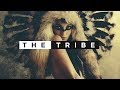 Vini Vici - The Tribe (RIOT Remix)