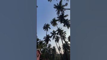 𝘛𝘶 𝘫𝘰 𝘤𝘩𝘩𝘶𝘭𝘦 𝘱𝘺𝘢𝘢𝘳 𝘴𝘦🤌🏻🥹❤️‍🩹 • 𝘚𝘢𝘪𝘺𝘢𝘢𝘯 • 𝘒𝘢𝘪𝘭𝘢𝘴𝘩 𝘒𝘩𝘦𝘳 • #sadstatus #aesthetic #lofi