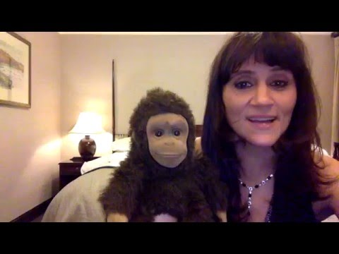 getting on it with this facebook page www.facebook.com/nina.conti