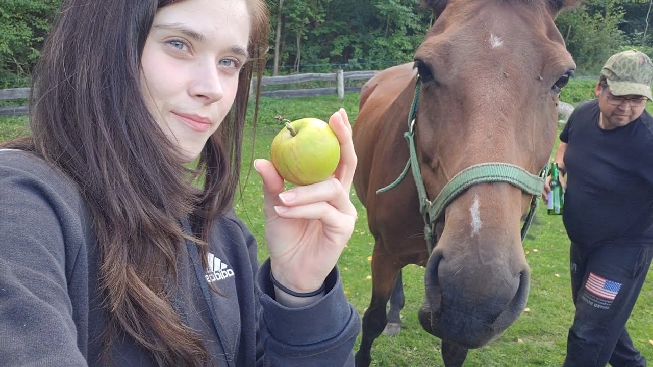 마구간에서 즐기는 한국 도시락, 아버지는 뭐라고 하실까?