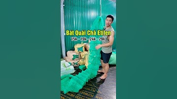 Lồng Bát Quái Chã Etilen Đánh Tôm, Tép, Cua #luoidanhcaatrung