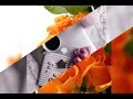 رائعة يا عاشقة الورد  mp3