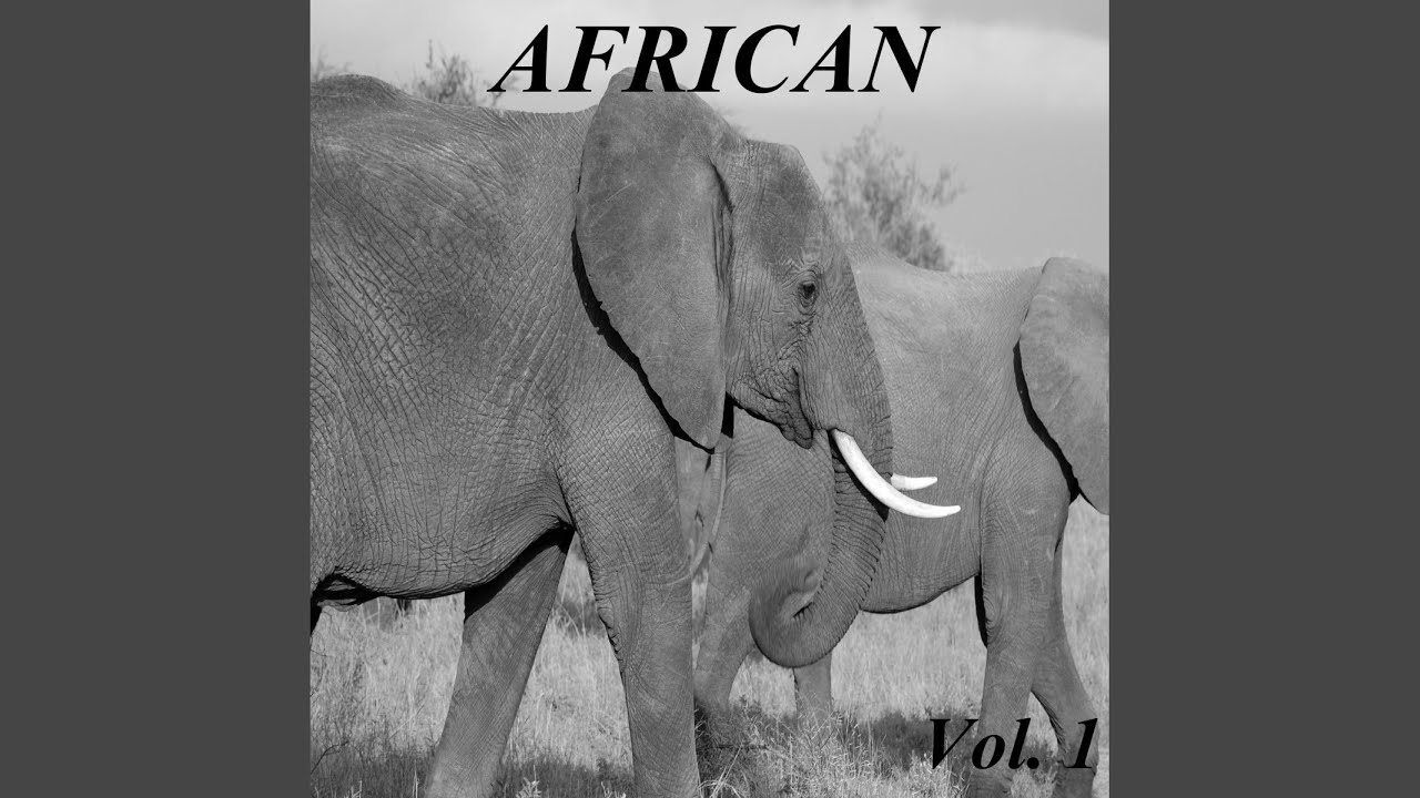 Watch African Trace on YouTube Watch African Trace on YouTube