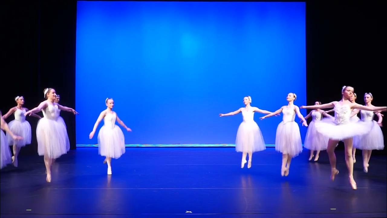 Odette and the Swans: Swan Lake Act II Odette and the Swans: Swan Lake Act II