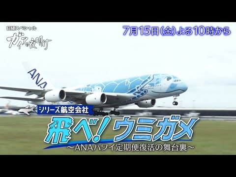 ガイアの夜明け【飛べ！ウミガメ～ANAハワイ定期便復活の舞台裏～】予告