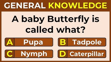 Think You Can Outsmart This Quiz? Only Geniuses Get a Perfect Score