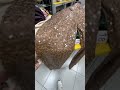 Приглашаю в Смарт Стор.Ссылки на мои аккаунты в описании под видео ⤵️.заходите.подпишитесь.
