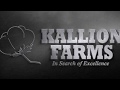 Kallion farms intro