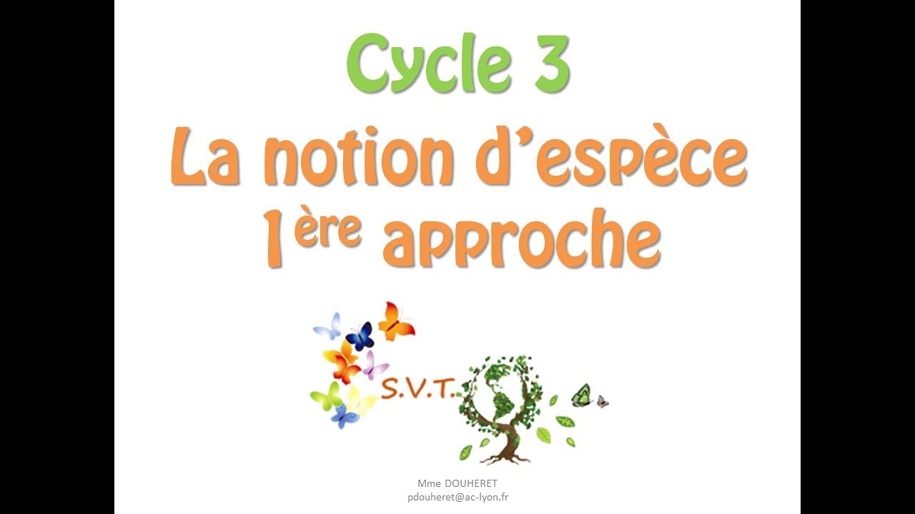 Notion D Espece Svt 6eme www.youtube.com