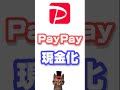 PayPay資産運用が爆誕!! 始め方や攻略法、PayPayポイント運用との違いを徹底解説!! キャッシュレス決済サービス上で有価証券の買付や売却が行える日本初のアプリ!!