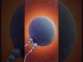 What Happens If Two Sperm Reach the Egg? 😳 (3D Explained)